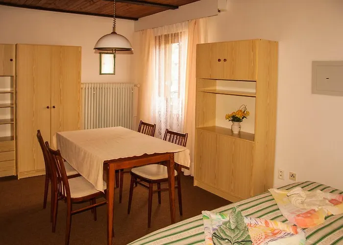 Privat - 392 Gæstehus Harrachov