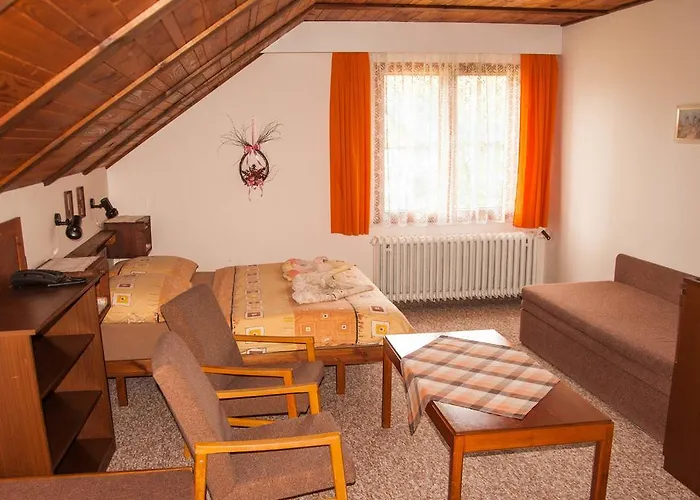 Privat - 392 Gæstehus Harrachov