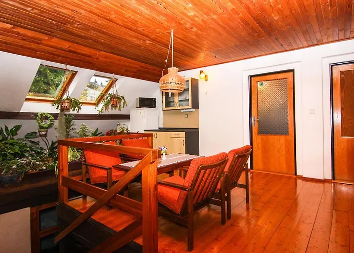 Gæstehus Privat - 392 Harrachov